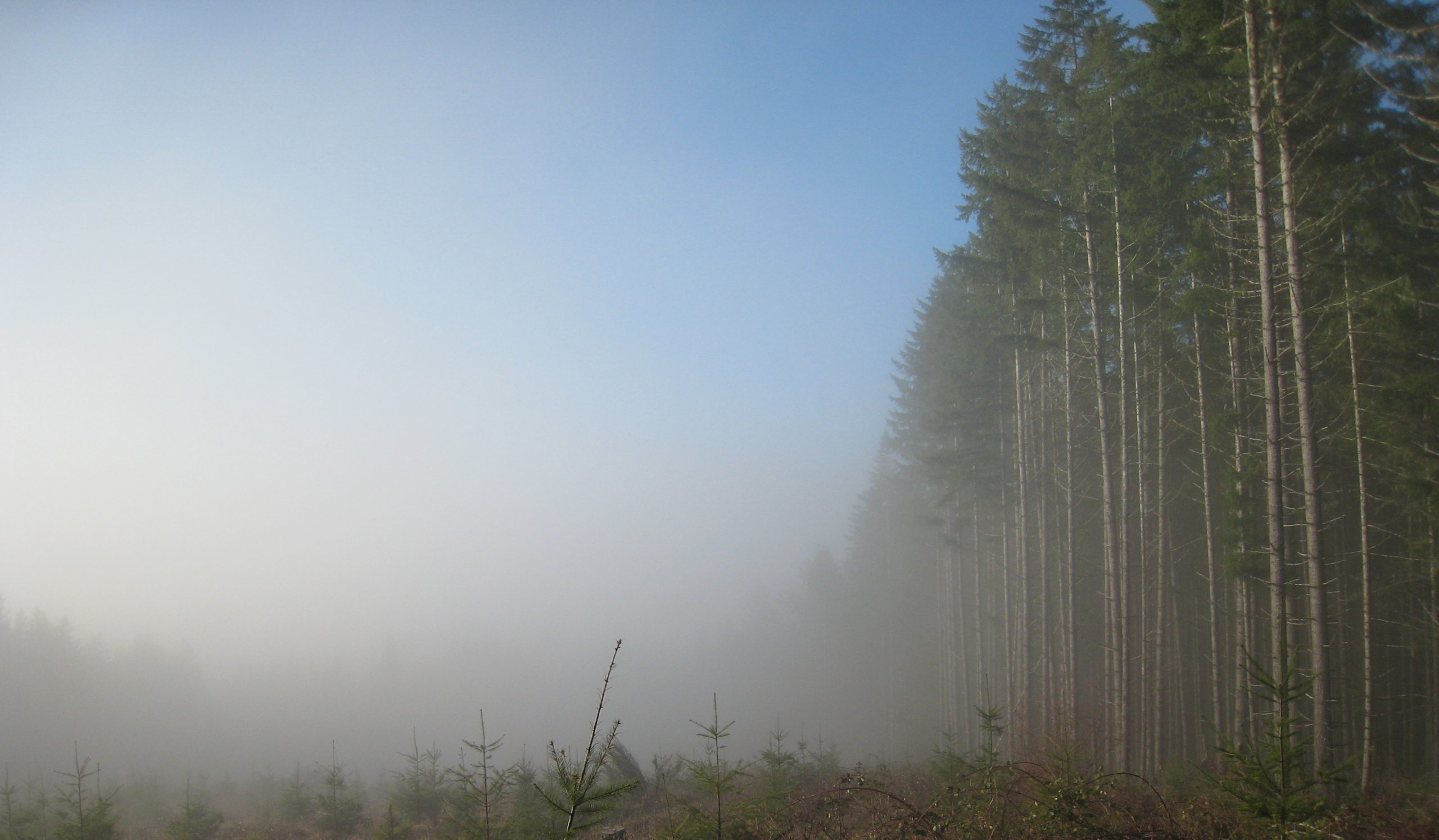 land stewardship